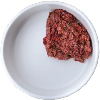 Raw dog food quarter bowl