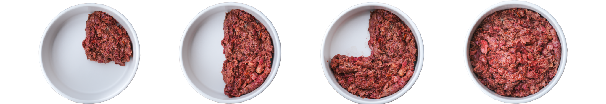 Transitioning from kibble to raw dog food