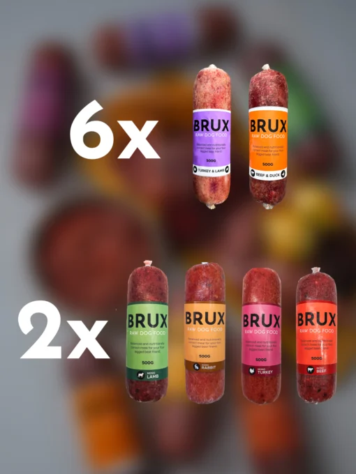 brux mega box with balanced raw dog food