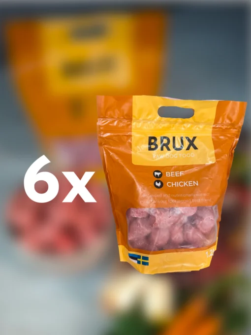 balanced raw dog food